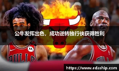 哈哈体育官网
